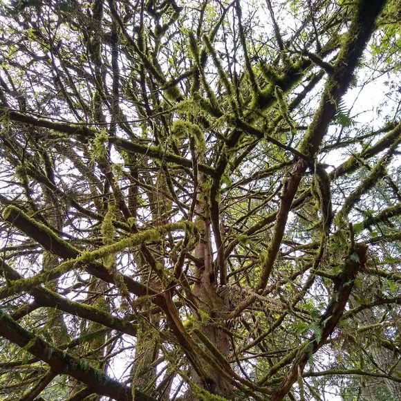 Meet your Posher, Sarah - Picture 1 of 1